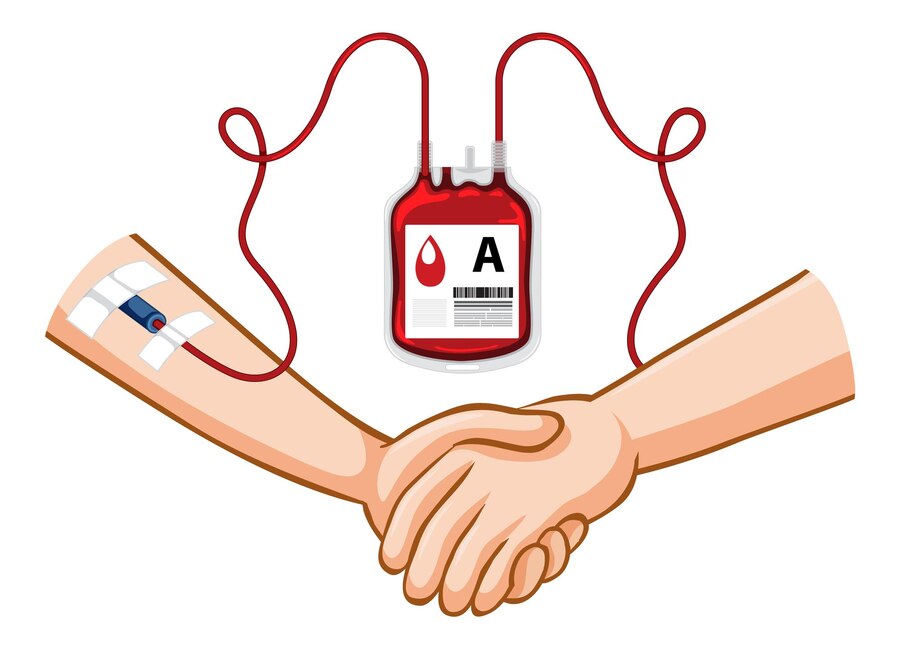 PMR SMAN 5 Malang Gelar Donor Darah, Wujudkan Semangat Kemanusiaan